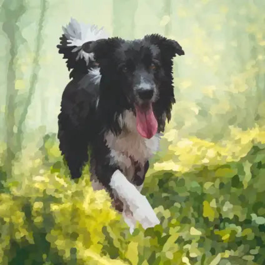 Periodic Society Border Collie Greeting card