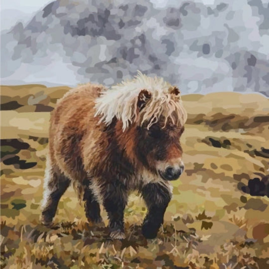 Periodic Society | Shetland Pony | Greeting Card