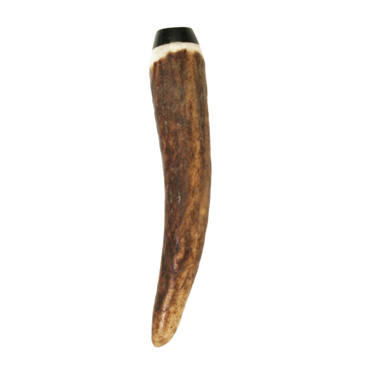 Glen Esk | Kilt Pin - Horn with Buffalo Tip