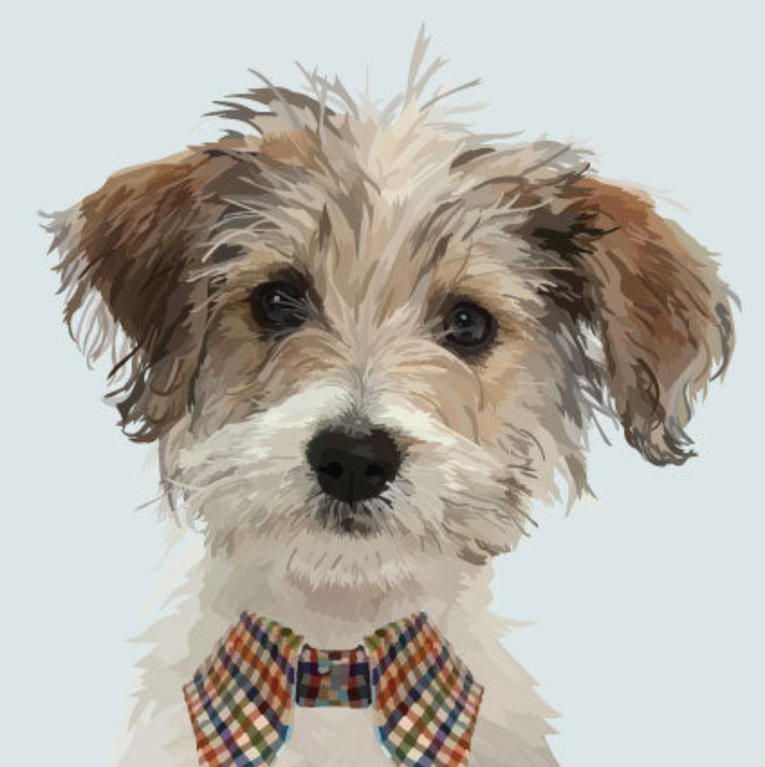 Periodic Society Jack Russell Greeting Card