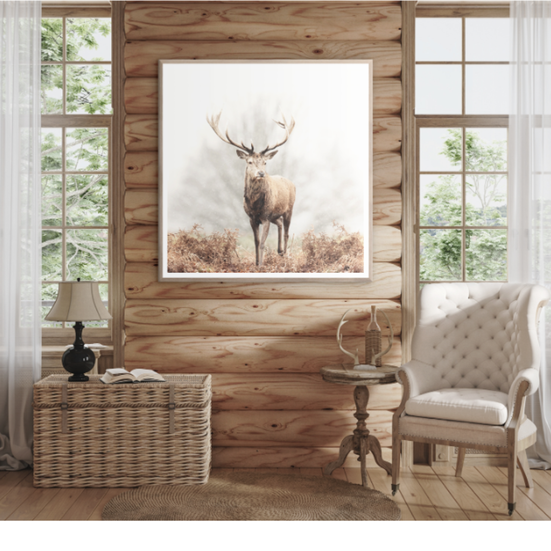Red Deer Stag | Giclee Art Print