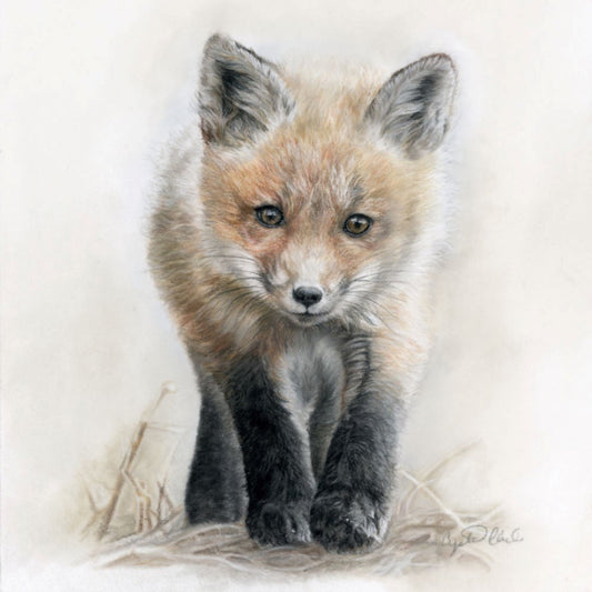 Crystal Clarke | "Curiosity" Fox Fine Art Print
